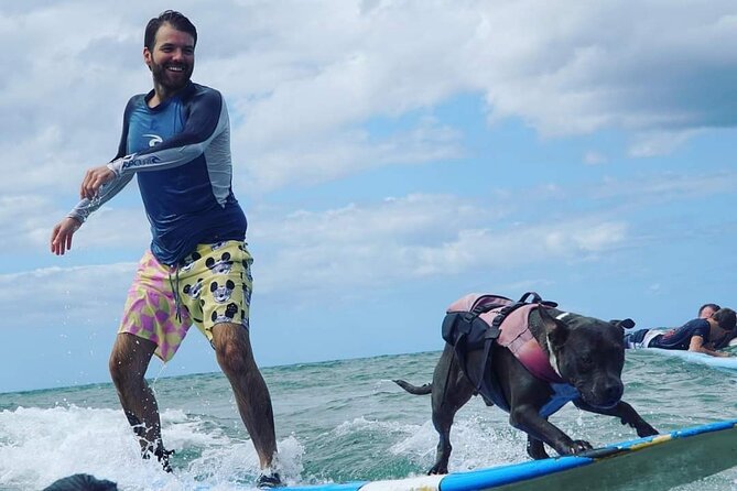 Surf with a Service Animal - Private Tour Value: Paying for Focus, Not Footsteps