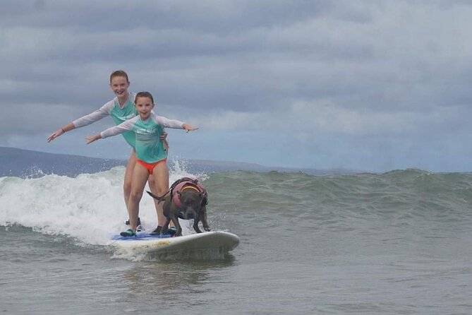 Surf with a Service Animal - Who Should Book This and Who Might Skip It