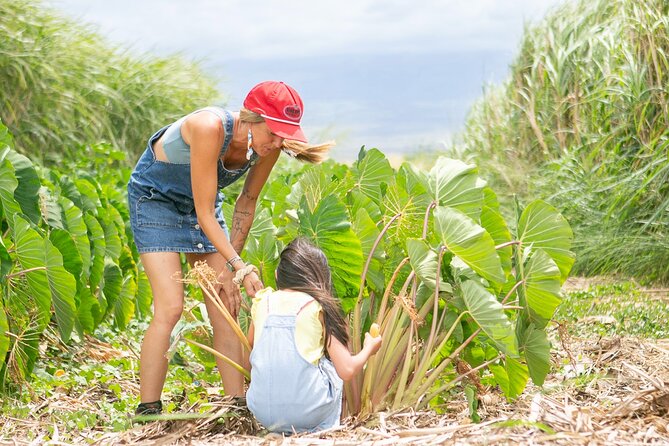 Taste of Hawaii: A Maui Farm Tour - Why Lā Kāhea Community Farm makes a Maui food stop