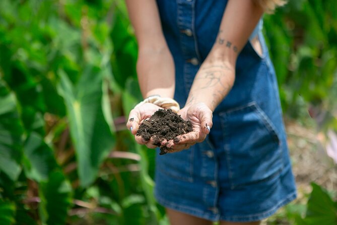 Taste of Hawaii: A Maui Farm Tour - Sugarcane juice and banana nice cream, the moments people remember