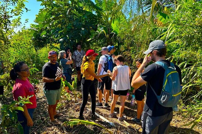 Taste of Hawaii: A Maui Farm Tour - Price and value: what $75 buys you in Maui time