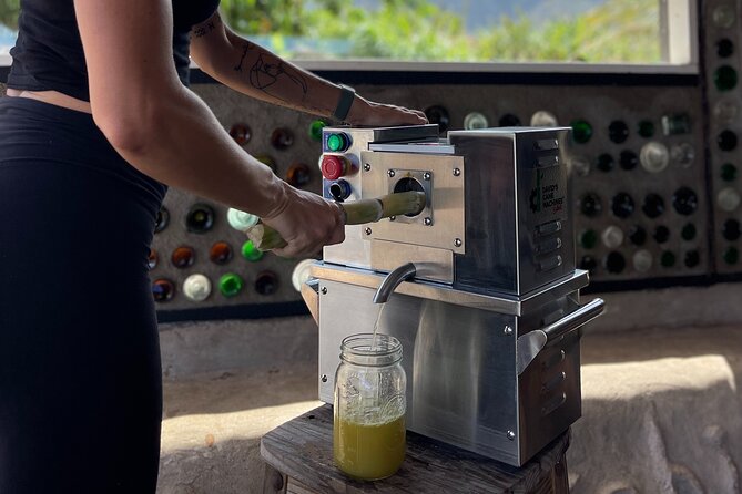 Taste of Hawaii: A Maui Farm Tour - The 10:30 am timing, meeting point, and pacing