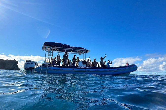 The Best 10 am 1.5 Hour Whale Watching Tour - Hydrophone whale songs: the listening part is the big win