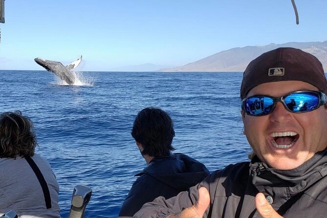 The Best 12 pm 1.5 Hour Whale Watching Tour - A Kihei 12 pm whale watch built for south shore calm