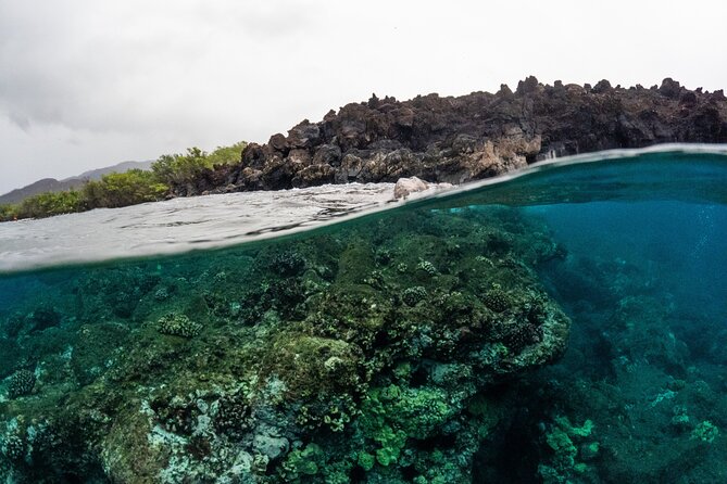 The Best 2.5 Hour Molokini Snorkel Tour & Whale Watch - Whale watching on the return, why the timing feels so satisfying
