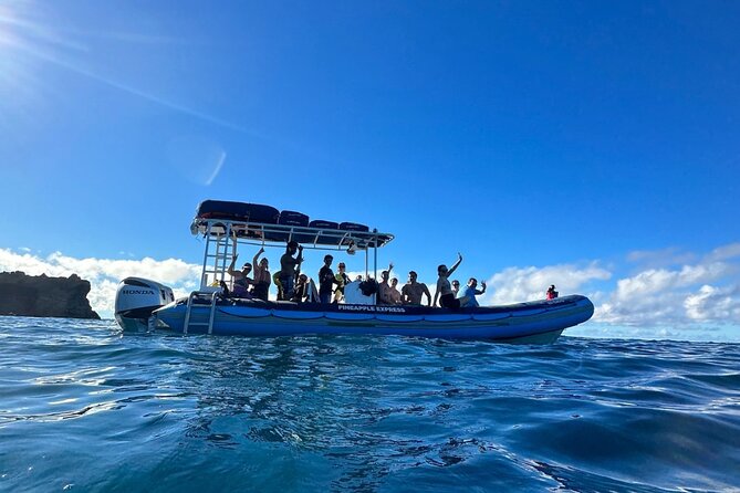 The Best 2.5 Hour Molokini Snorkel Tour & Whale Watch - What the snorkeling gear and drinks mean for real value