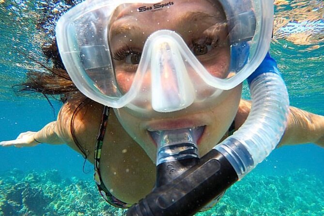 The Best 2.5 Hour Molokini Snorkel Tour & Whale Watch - Who this tour suits best, and who should think twice