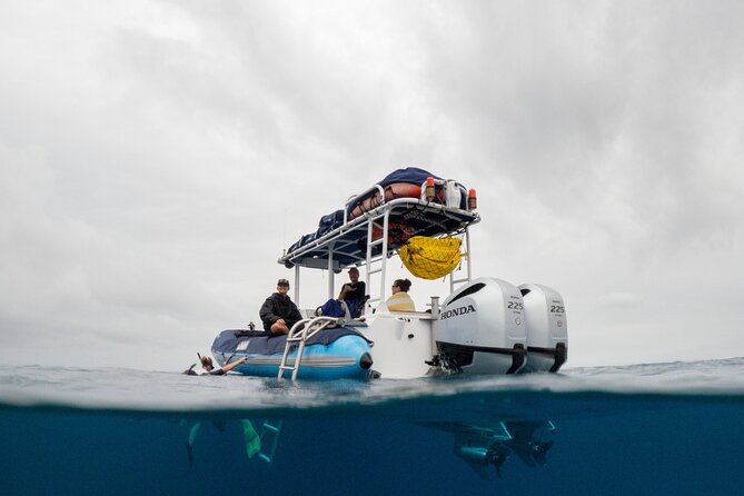 The Best 2 Hour Molokini Express Snorkeling - Key things that make this Molokini Express work