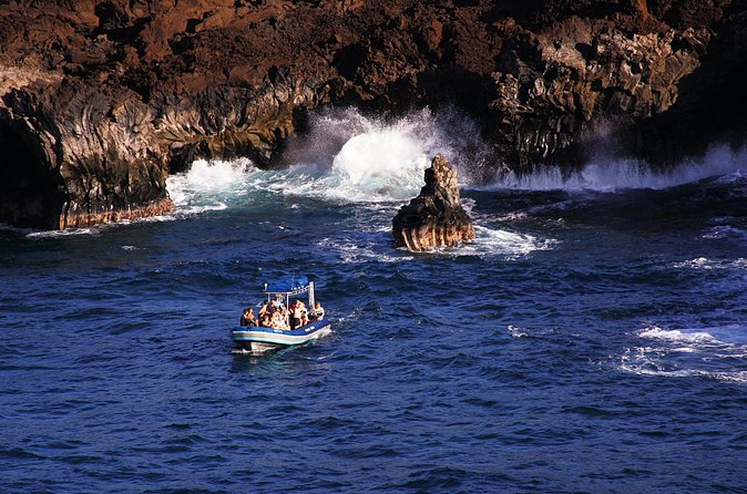 The Best 4 hour inclusive Kanaio Sea Caves and La Perouse Snorkel - La Perouse Bay snorkeling: your first swim in the plan
