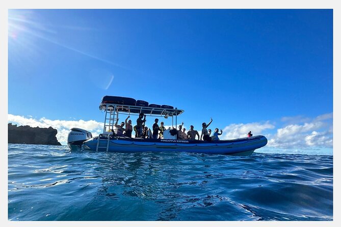 The Best 8 am 1.5 Hour Whale Watching Tour - Price and value: is $97.30 worth it?
