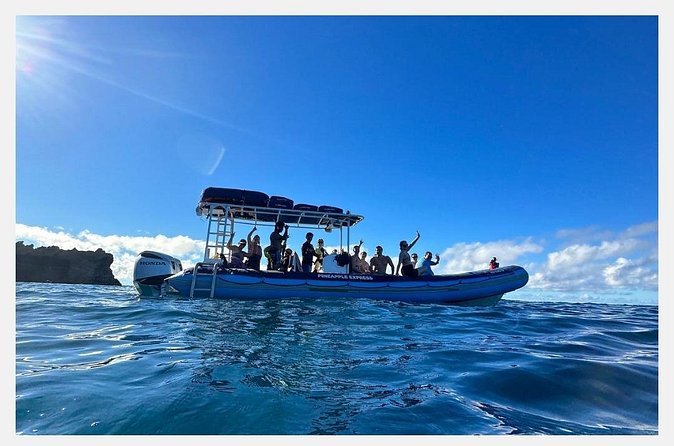 The Best 8 am 1.5 Hour Whale Watching Tour - Weather happens, and the refund plan is straightforward