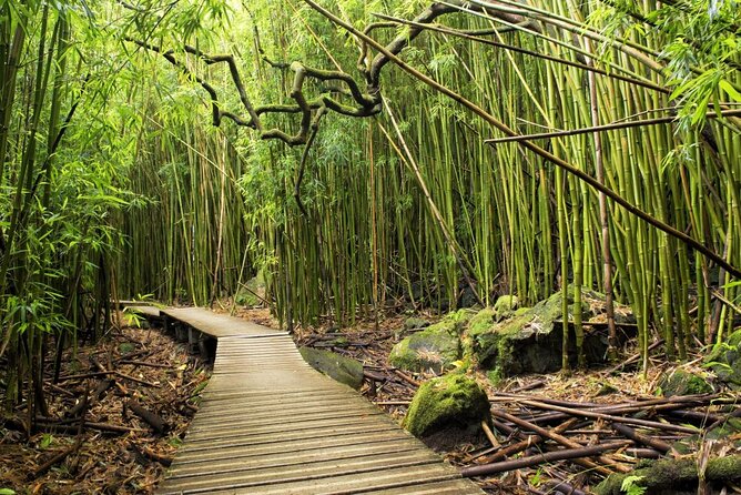 The best half day of your life! Luxury Road to Hana private tour - Stop 2 on the Hana Road: Ho’okipa Beach Park views and sea turtles