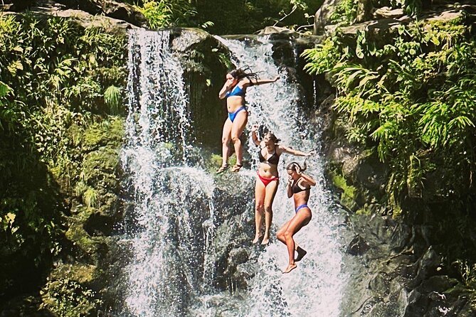 The best half day of your life! Luxury Road to Hana private tour - Meeting at Lowe’s in Kahului, and getting your timing right