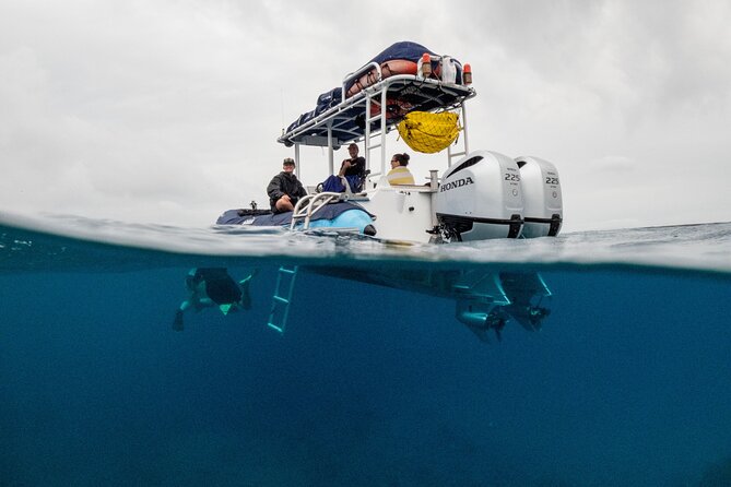 The Best Maui 3 Hour Molokini and Turtle Town Snorkel - Weather and sea conditions: how to think about risk before you go