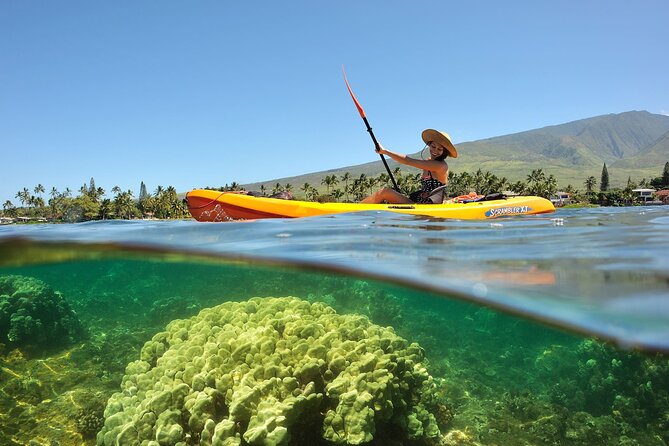 Turtle Reef Kayak Tour of Makena, Maui - Price and value: what $121 buys you in real terms