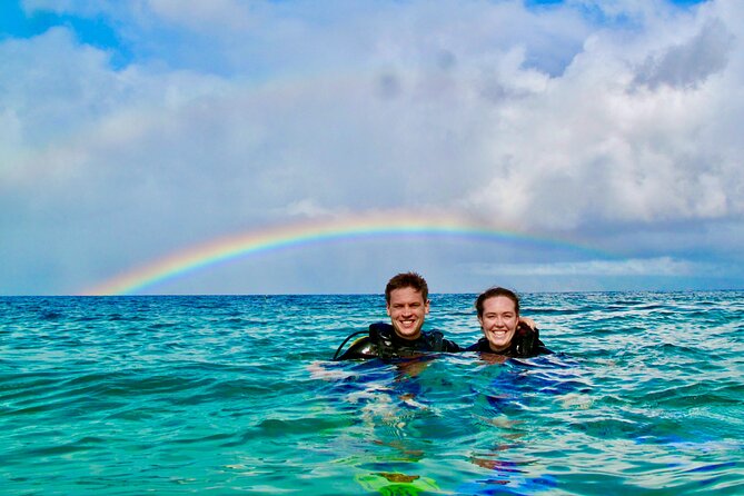 Turtle & Shark Scuba Dive in Lahaina: Certified - Key things to know before you go