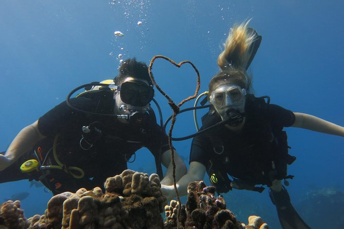 Turtle & Shark Scuba Dive in Lahaina: Certified - A shore-based turtle and shark session from Lahaina’s Front Street