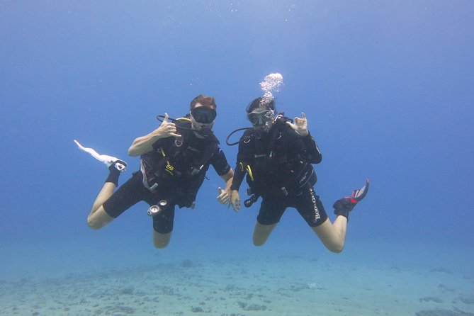 Turtle & Shark Scuba Dive in Lahaina: Certified - Check-in, waivers, and the 2-hour timing window