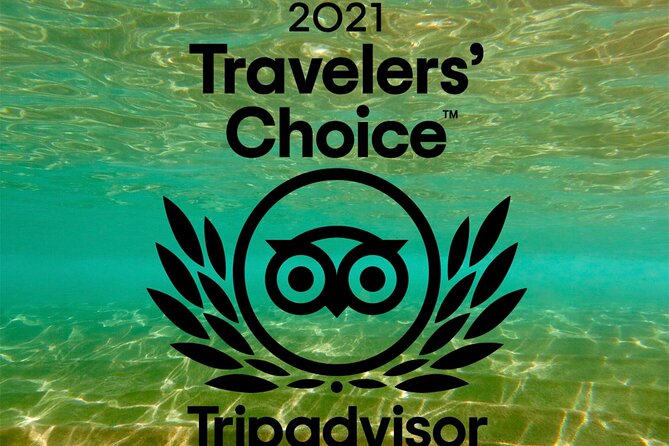 Turtle & Shark Scuba Dive in Lahaina: Certified - Price and value: is $259 a good deal for Lahaina?