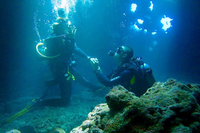 Turtle & Shark Scuba Dive in Lahaina: Certified - Certified scuba only, and why that rule matters