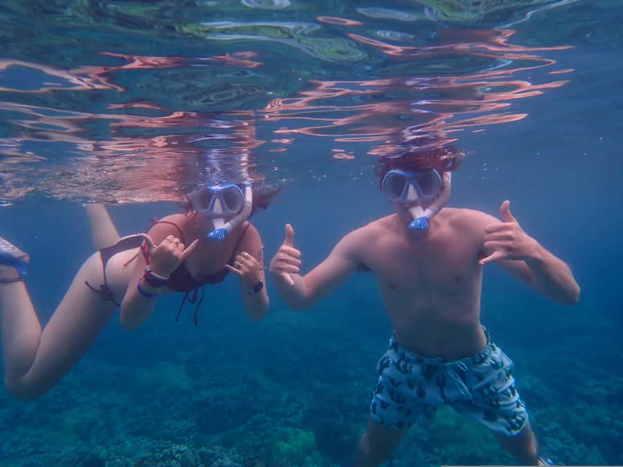 Turtle Town Clear Kayak & Snorkel Tour (8am-11am) - Price and value: is $130 worth it?