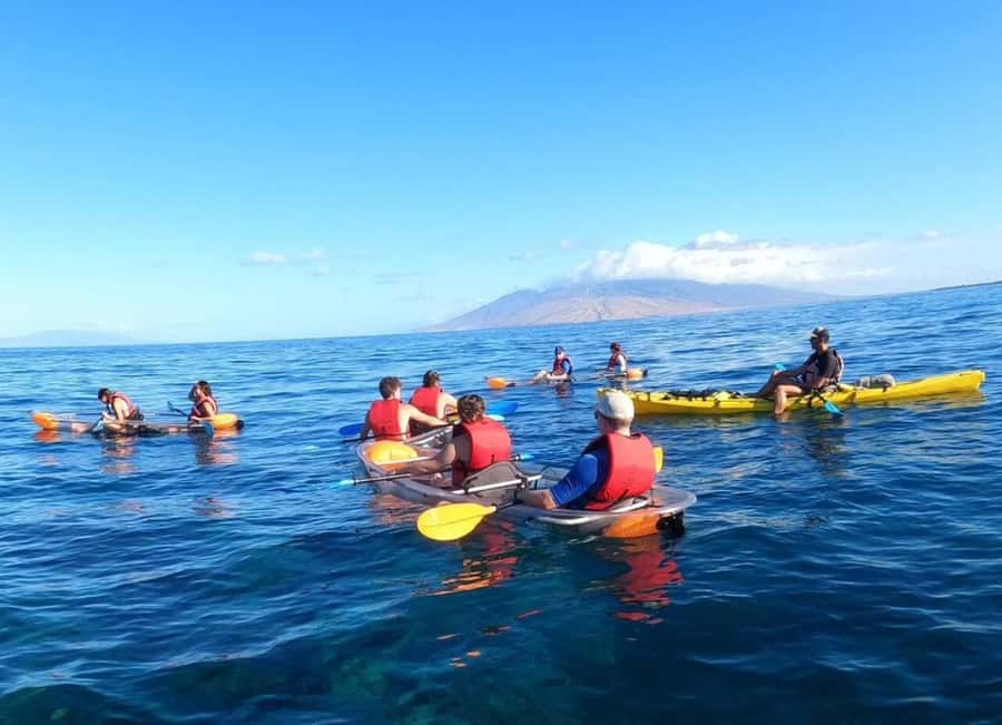 Turtle Town, Makena; Clear Bottom Kayak and Snorkel Tour - Clear-bottom kayaking in Turtle Town, and why that early check-in matters