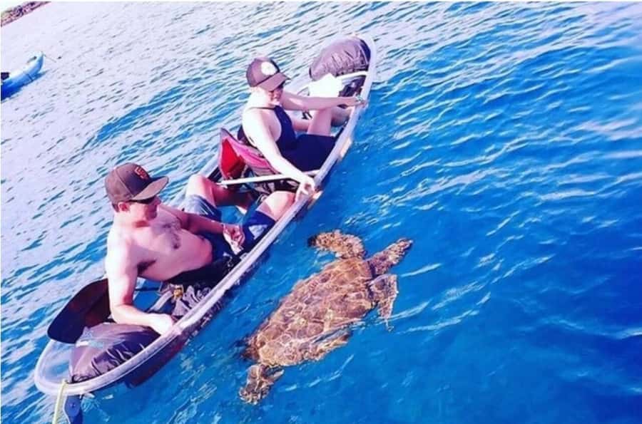 Turtle Town, Makena; Clear Bottom Kayak and Snorkel Tour - Guides, small groups, and how non-snorkelers still get value