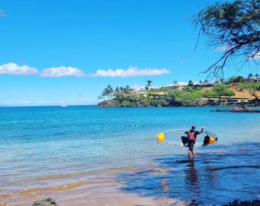 Turtle Town, Makena; Clear Bottom Kayak and Snorkel Tour - What you get for $130: where the value really comes from