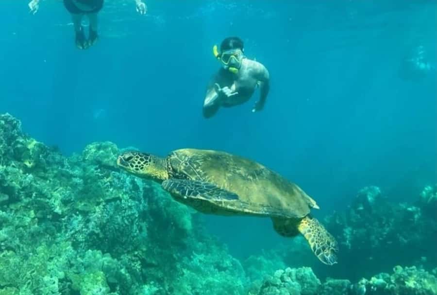 Turtle Town, Makena; Clear Bottom Kayak and Snorkel Tour - Finding the navy blue truck at Makena Landing Park