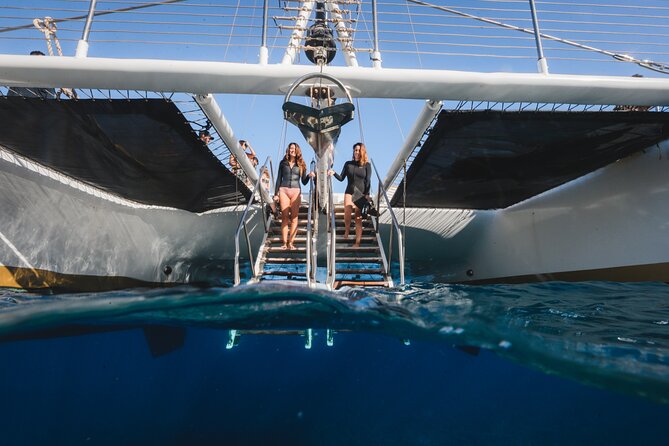 Turtles & Tacos Luxury Catamaran Snorkel - The catamaran vibe: space, crew service, and the “sail part” of Maui