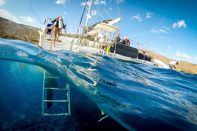Turtles & Tacos Luxury Catamaran Snorkel - Price and value check for $199 per person