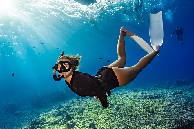 Two Site Snorkeling Adventure featuring the Molokini Crater - Key Points to Know Before You Go