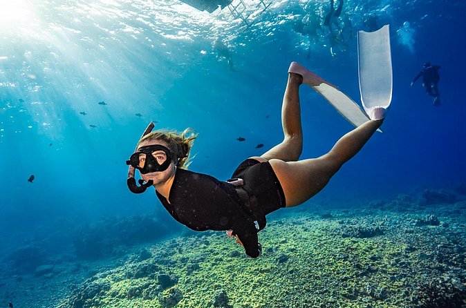 Two Site Snorkeling Adventure featuring the Molokini Crater - Value Check: Is $174 for 3 Hours Worth It?