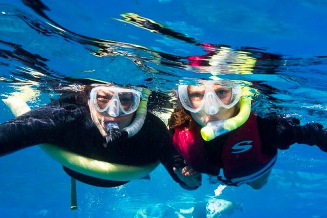 Two Stop Snorkel Adventure from Maui - Key Things That Make This Two Stop Snorkel Special
