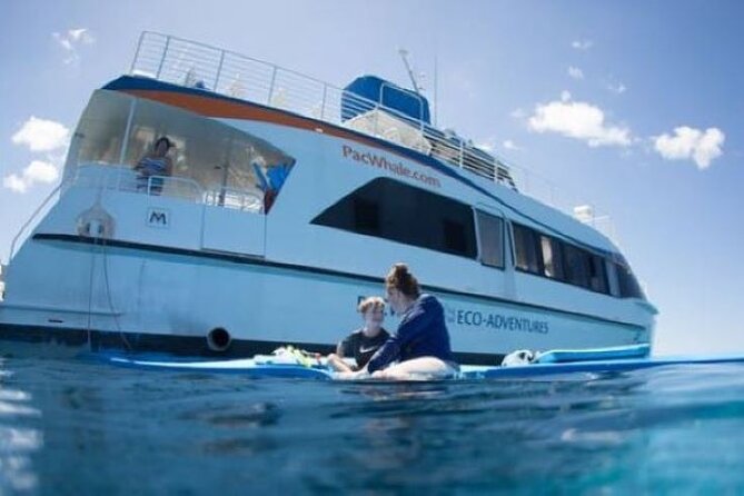 Two Stop Snorkel Adventure from Maui - Meeting Point and Timing: Maalaea Starts, Maalaea Ends