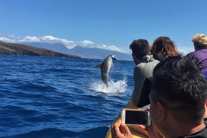 Ultimate 4 Hour Lanai Snorkel and Dolphin Encounter - From Lahaina at 9:00 to Lanai Reefs in a Tight 4-Hour Window