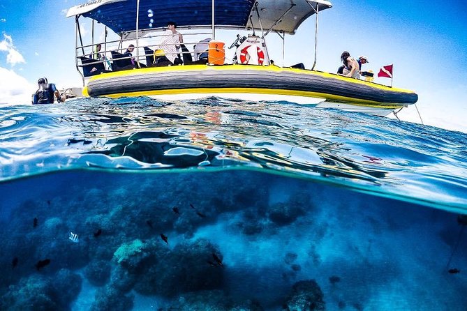 Ultimate 4 Hour Lanai Snorkel and Dolphin Encounter - Included Snacks and Gear: Small Things That Make a Big Difference