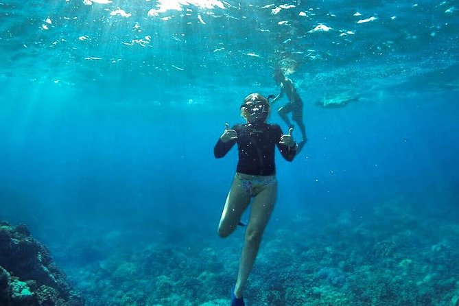 Ultimate 4 Hour Lanai Snorkel and Dolphin Encounter - Price and Value: Is $175 a Person Fair?