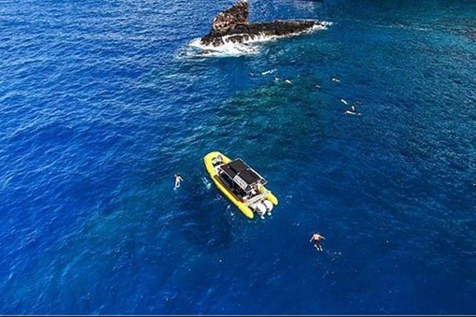 Ultimate 4 Hour Lanai Snorkel and Dolphin Encounter - Who This Tour Fits Best (And Who Should Skip It)