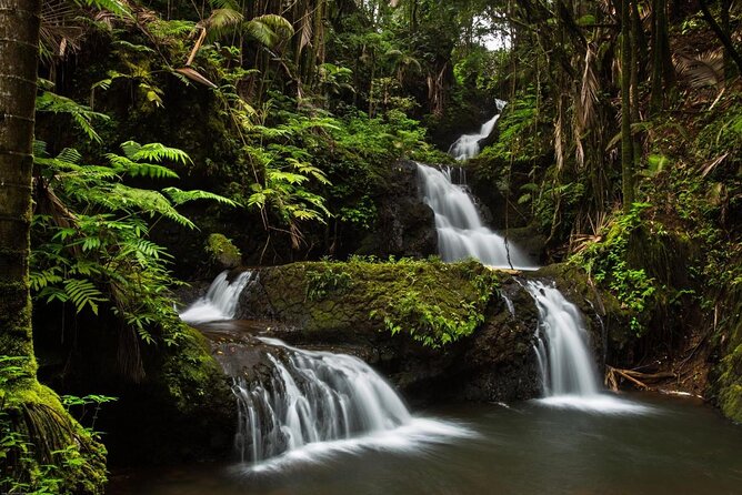 Ultimate Hawaii Road Trip: 4-Island Self-Guided Audio Tours - Fixed Starting Points: The Main Thing to Get Right