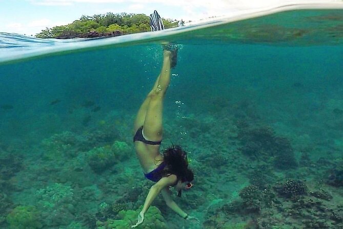 Ultimate Maui Kayak Snorkel Experience - Snorkeling time: turtles, coral, and fish you can actually see