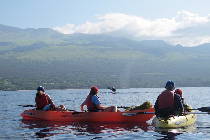 Ultimate Maui Whale Watch Snorkel Tour - Included Extras That Actually Add Comfort: Gear, Pineapple, Snacks, Water