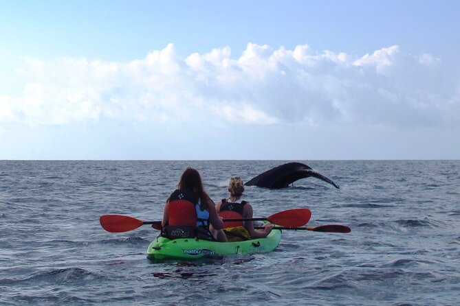 Ultimate Maui Whale Watch Snorkel Tour - Getting There: 7:15am Start at Makena Alanui (And Returning Where You Began)