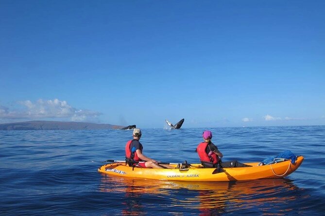 Ultimate Maui Whale Watch Snorkel Tour - Who Should Book This 4-Hour Kayak and Snorkel Tour?