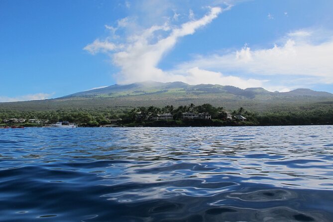 Ultimate Maui Whale Watch Snorkel Tour - The Kayak Paddle: What the 4 Hours Feels Like on the Water