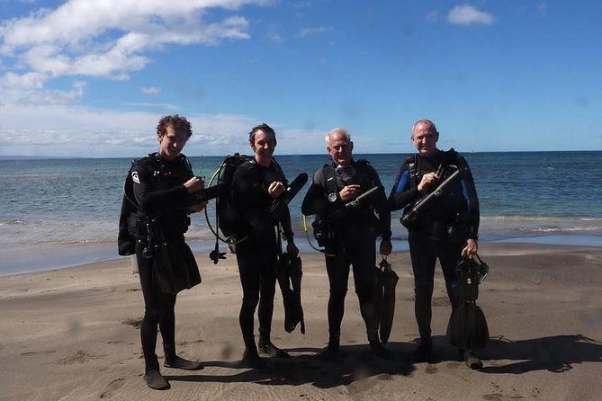 Underwater Scooter Dive (Certified Divers Only) Makena Wailea - The Makena Landing Beach Park underwater world you can expect