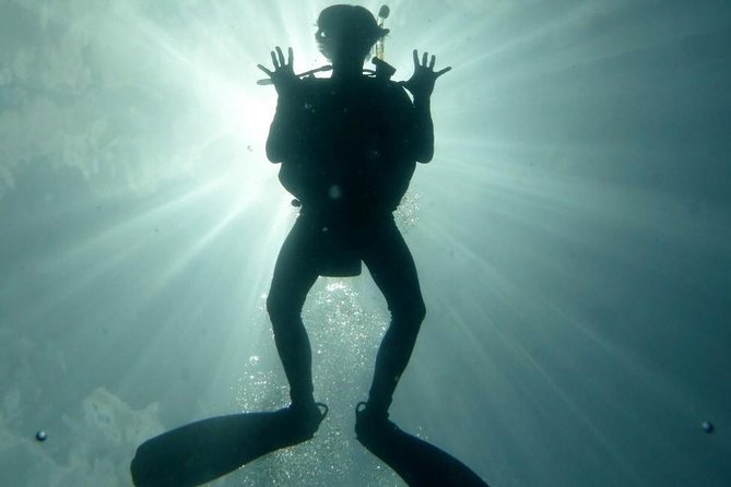 Underwater Scooter Dive (Certified Divers Only) Makena Wailea - Weather matters: what happens if the sea gets rough