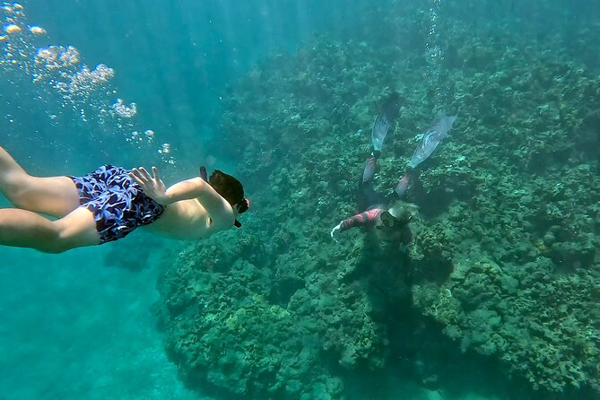 Unlimited Guided Snorkeling Tour for Beginners Plus - Key things that make this tour work so well