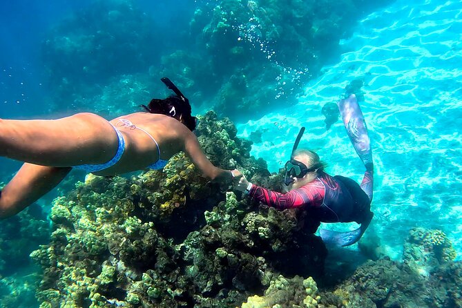 Unlimited Guided Snorkeling Tour for Beginners Plus - Getting your bearings fast: why Olowalu is a smart beginner pick