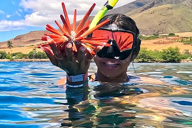 Unlimited Guided Snorkeling Tour for Beginners Plus - The guides and the small group vibe you actually feel